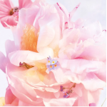 Miss Dior Blooming Bouquet