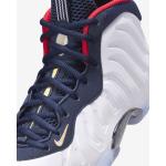 Nike Little Posite One Big Kids Basketball Shoes