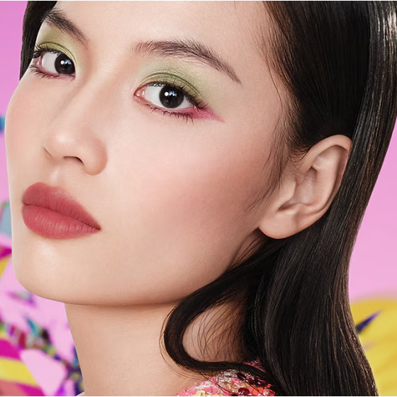 Limited Edition Pure Color Matte Lipstick