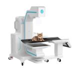 AI-enhanced, Open-bore VET CT For Large Dog Animal Orthopedic Imaging Diagnosis