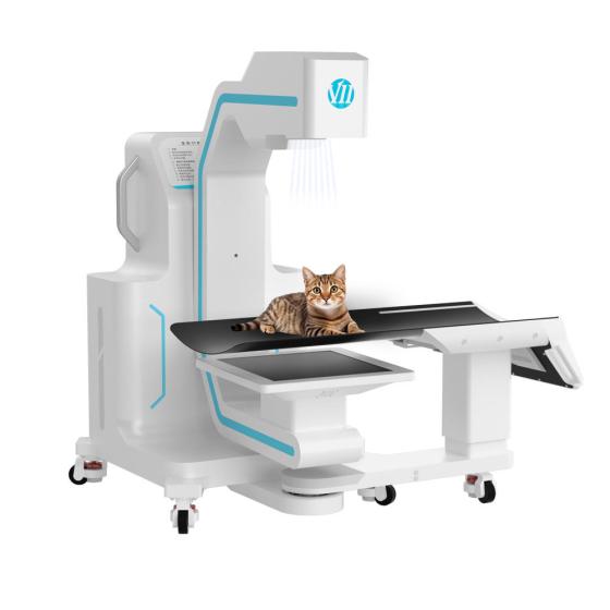 AI-enhanced, Open-bore VET CT For Large Dog Animal Orthopedic Imaging Diagnosis