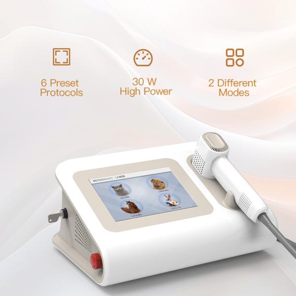 Cold Veterinary Laser Therapy Equipment for Dog Physiotherapy Medical Laser Treatment
