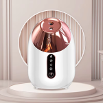 Hot selling Professional Nano Mist Ionic Facial Steamer Facial skin care Mini Sprayer Portable Hot and Cold Facial Steamer